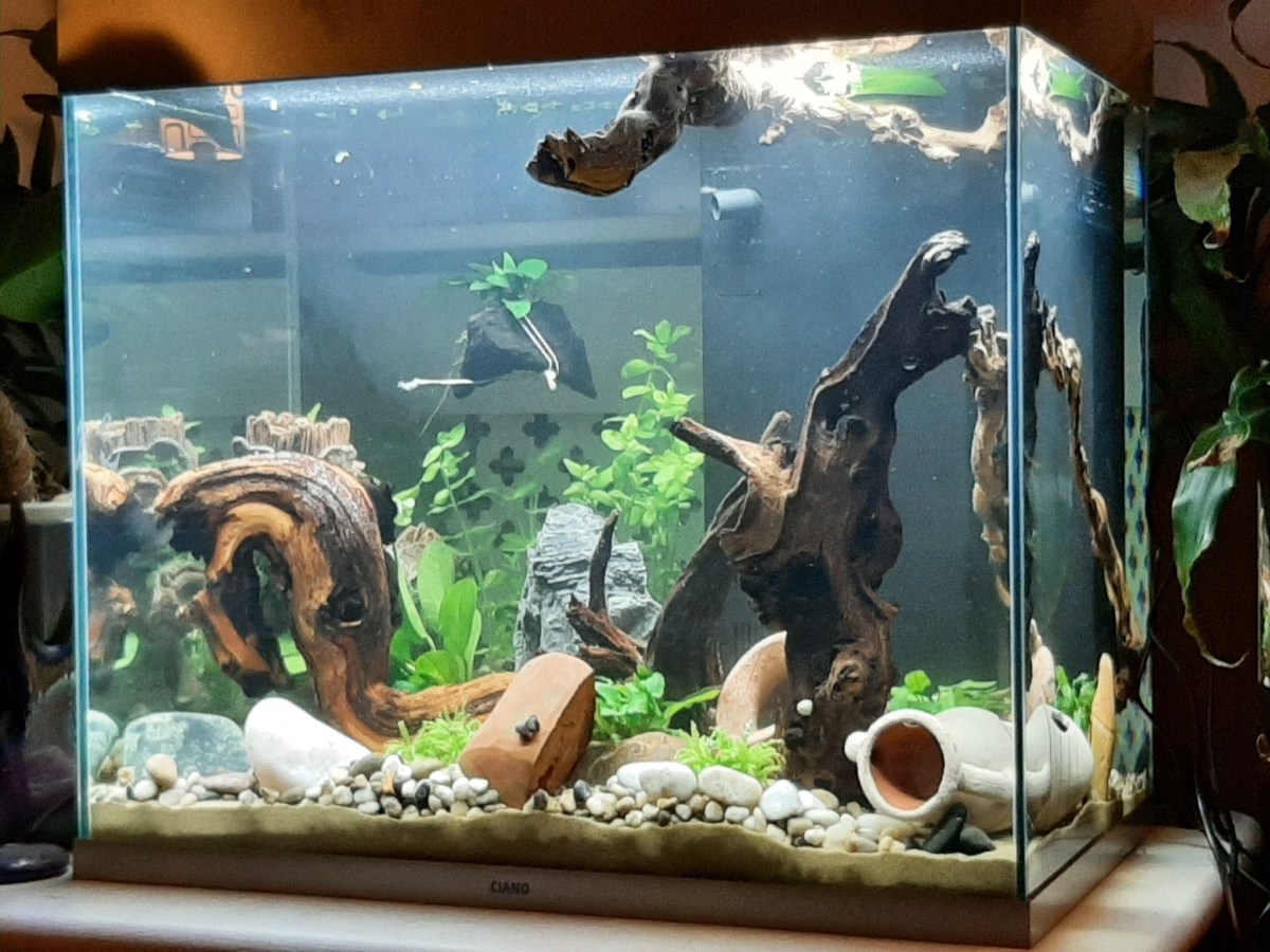 Life is your free and abundant Mindfulness&nbsp;App